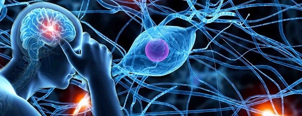 Neurology Neurology