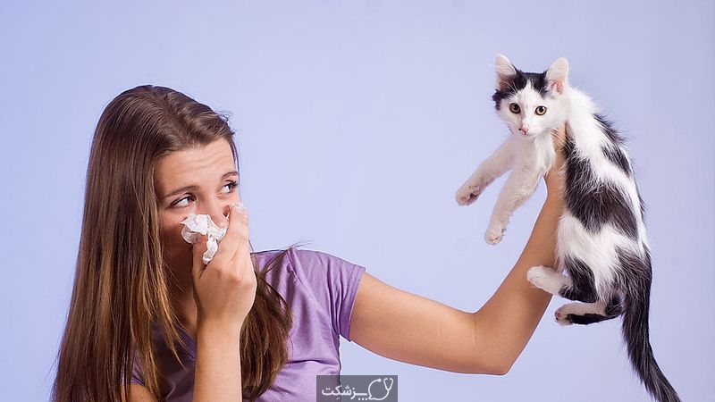 حساسیت به حیوانات خانگی | پزشکت