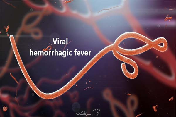 تب های هموراژیک ویروسی | پزشکت