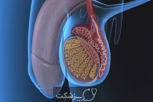 شایع ترین بیماری های دستگاه تناسلی مردان  | پزشکت