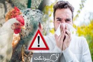 آنفلونزای مرغی | پزشکت