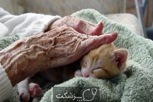 حیوانات خانگی برای سالمندان | پزشکت