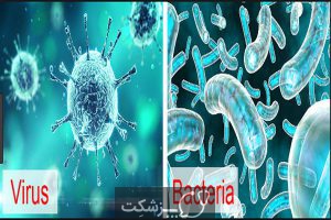 تفاوت باکتری ها و ویروس ها | پزشکت