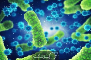 تفاوت باکتری ها و ویروس ها | پزشکت