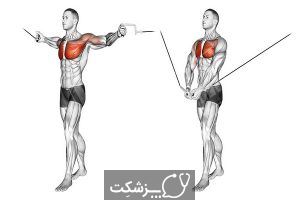 تقویت عضلات سینه در مردان | پزشکت
