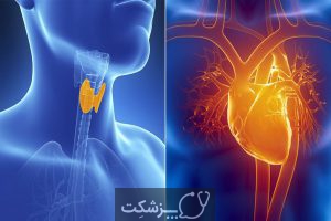 تیروئید چگونه بر قلب تأثیر می گذارد؟ | پزشکت
