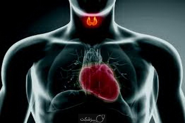 تیروئید چگونه بر قلب تأثیر می گذارد؟ | پزشکت