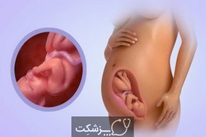 وضعیت جنین در هفته 34 بارداری | پزشکت