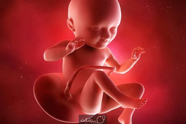 وضعیت جنین در هفته 34 بارداری | پزشکت