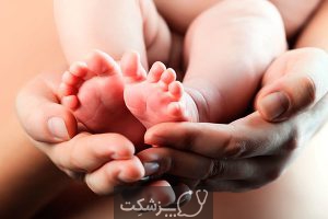 مراحل بارداری | پزشکت