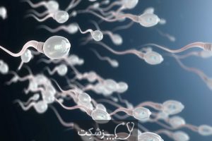 عوارض جانبی عدم تخلیه اسپرم | پزشکت
