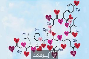 هورمون عشق را بشناسید. | پزشکت