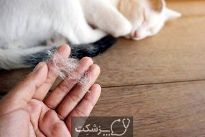 ریزش مو در حیوانات | پزشکت