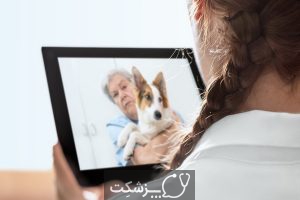 بیماری های پوستی در سگ و گربه | پزشکت