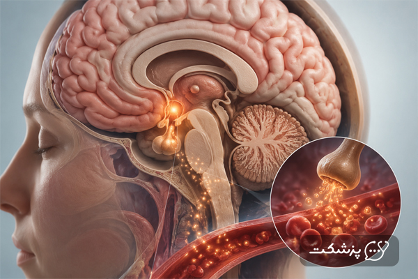 هورمون اکسی توسین