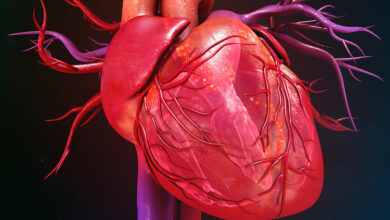 ضخیم شدن عضله قلب یا کاردیومیوپاتی چیست؟ | پزشکت