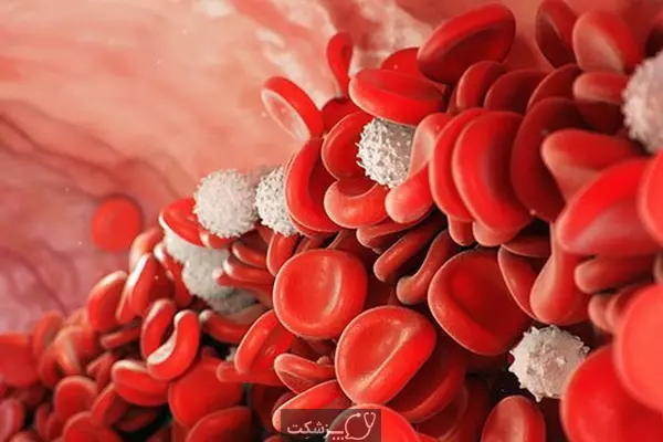 چگونه گلبول های سفید خون را افزایش دهیم؟ | پزشکت