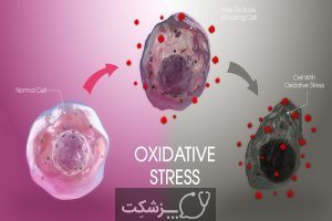 تأثیر استرس اکسیداتیو | پزشکت