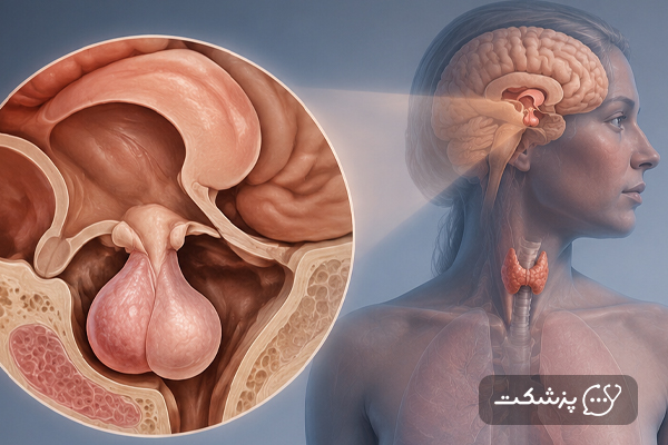 غده هیپوفیز