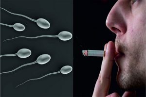 بهترین راه افزایش تعداد اسپرم چیست؟ | پزشکت