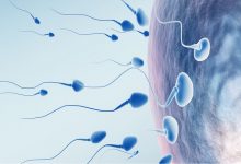 بهترین راه افزایش تعداد اسپرم چیست؟ | پزشکت