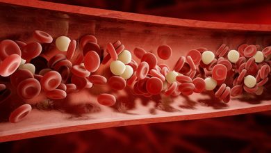 راهکارهای افزایش پلاکت خون | پزشکت