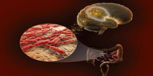 چرا میکروبیوتای انسان مهم است؟ || پزشکت