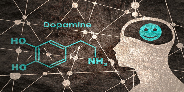 12 مکمل دوپامین برای تقویت خلق و خوی | پزشکت