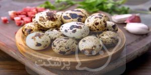 مصرف تخم بلدرچین | پزشکت