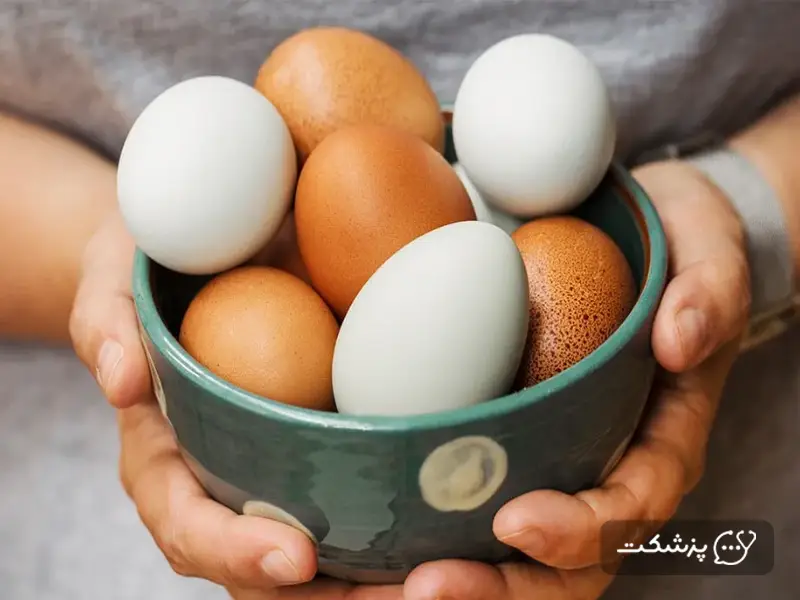 فواید تخم اردک برای سلامتی بدن