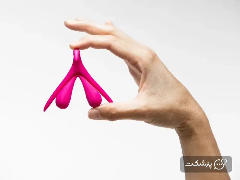 کلیتوریس 