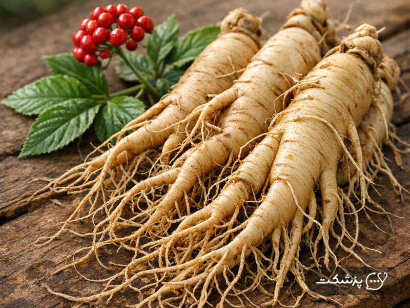 خواص ریشه جینسینگ برای تسکین علائم یائسگی