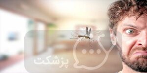 حشره در گوش را چگونه خارج کنیم؟ || پزشکت