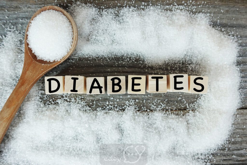 دیابت و کاسنی||پزشکت