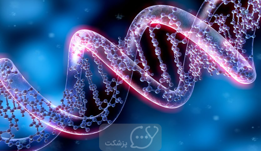 ژنتیک و رشد الت تناسلی || پزشکت
