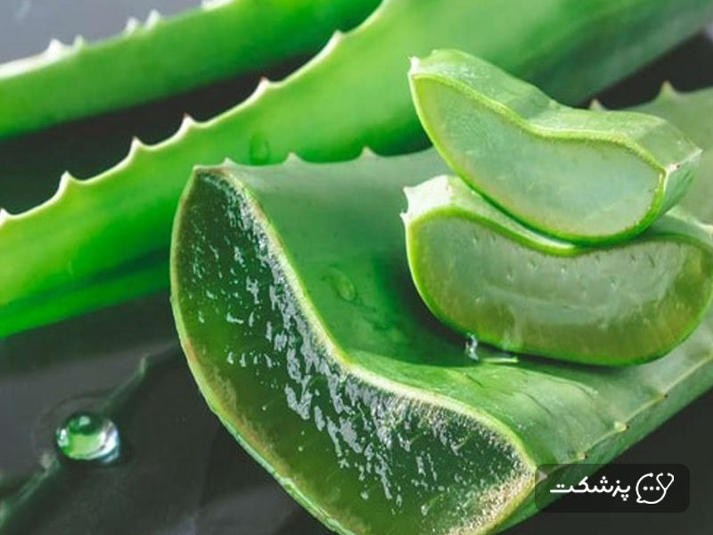آلوئه‌ورا برای درمان درد نوک سینه
