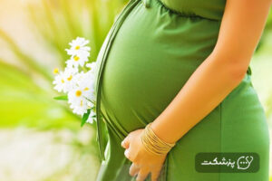 بهترین داروی گیاهی برای بارداری