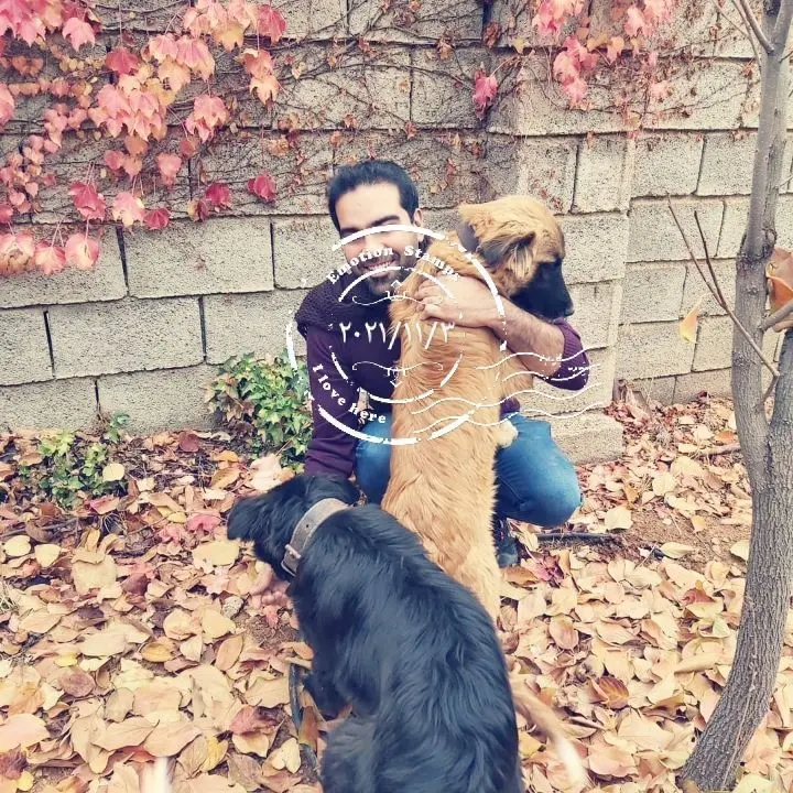 فرزاد بهروزی نیا