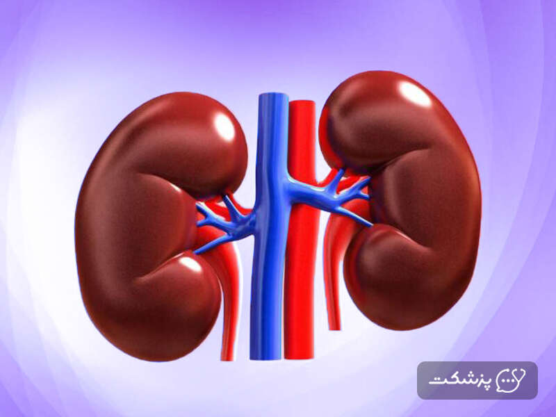 یونجه برای بهبود آسیب کبدی