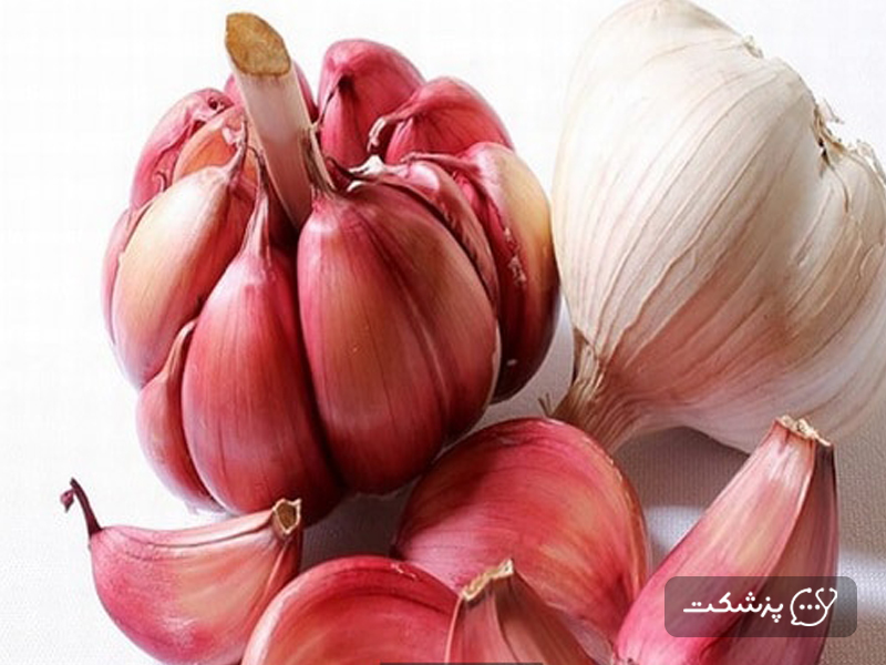سیر و افزایش گلبول های سفید خون