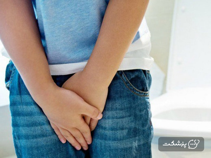 نعوظ آلت تناسلی مردان