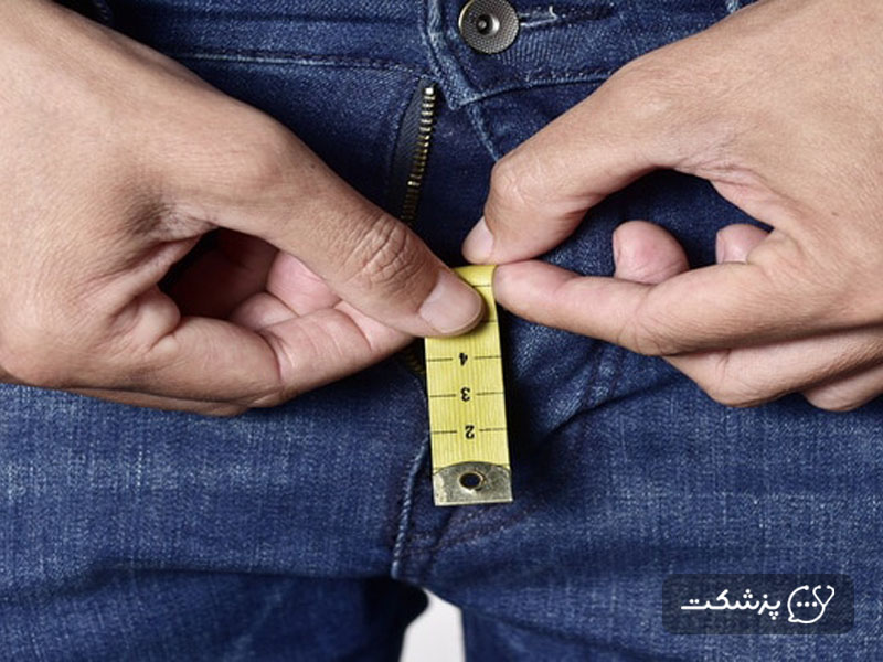 اندازه آلت تناسلی مردان