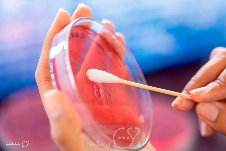 کشت خون || پزشکت