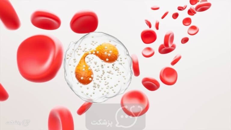 آزمایش ائوزینوفیل بالا || پزشکت